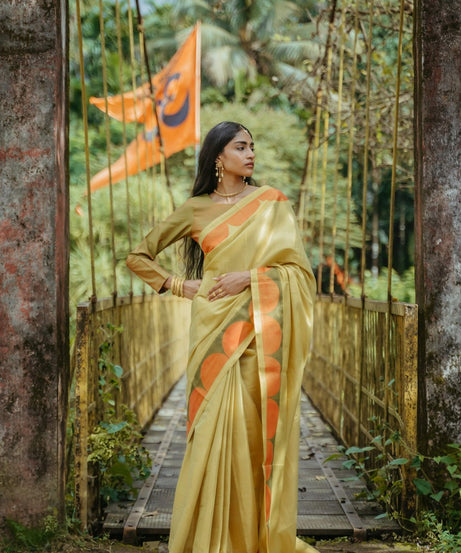 Light Green Silk Sari Set