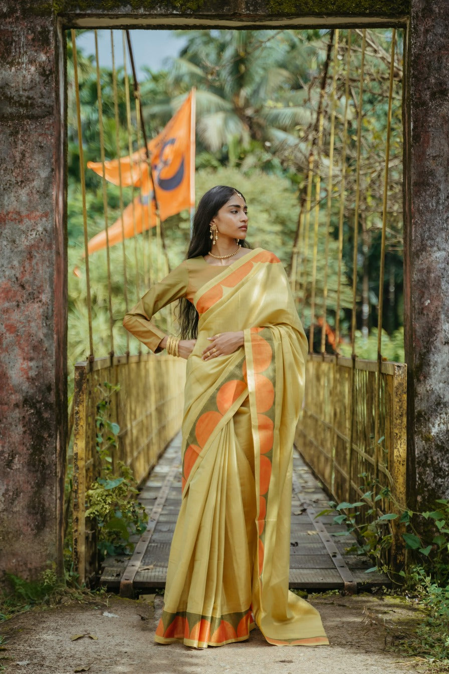 Light Green Silk Sari Set